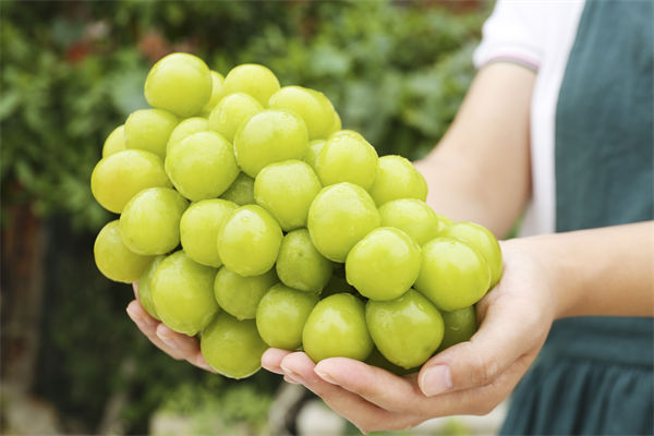 海南日报：全岛封关 海南迈入高水平开放新起点